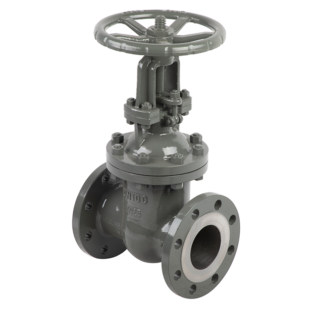 DIN PN25 DN100 Rising Stem Gate Valve