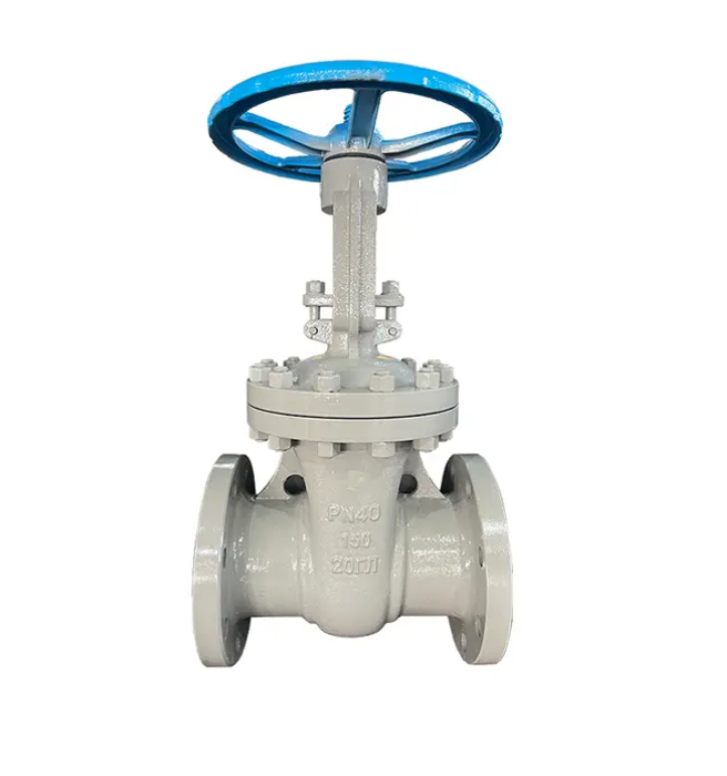 GOST PN40 DN150 Flange Gate Valve