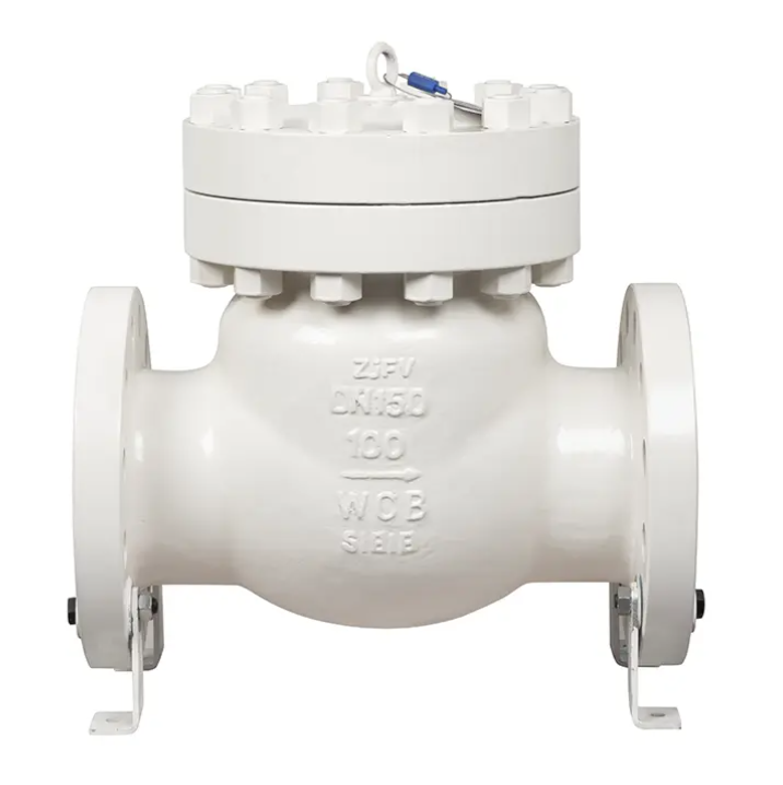 DIN PN100 DN150 High Pressure Swing Check Valve